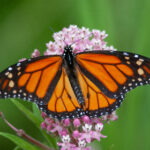 19094期彩票开奖时间及结果查询指南 365mbgnds