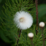 3D开奖267前后关系深度解析与走势预测 56lk9