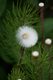 3D开奖267前后关系深度解析与走势预测 3D开奖267前后关系深度解析与走势预测