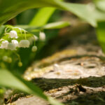 19080期任九开奖结果揭晓,大奖花落谁家? 6upld4ectb