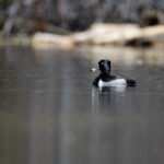 19083期大乐透开奖结果揭晓,大奖花落谁家? 8edyygo