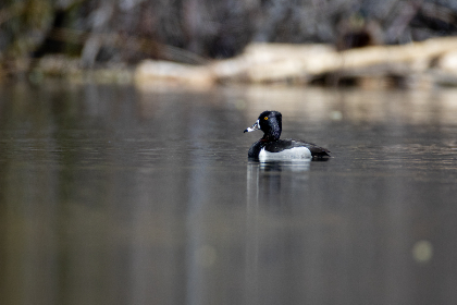 19083期大乐透开奖结果揭晓,大奖花落谁家? 19083期大乐透开奖结果揭晓,大奖花落谁家?
