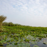 19064期开奖结果震撼揭晓,大奖花落谁家引关注 9z5nqll