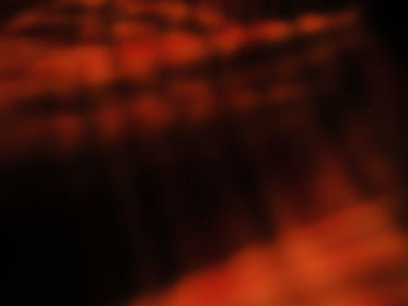 19073期开奖结果公布,幸运号码震撼揭晓 19073期开奖结果公布,幸运号码震撼揭晓