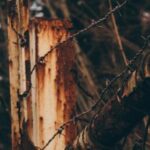 19067期彩票开奖结果公布,幸运号码揭晓 bjw3zu