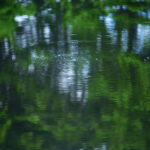 19074期体育彩票开奖结果最新公布 c2f4t4