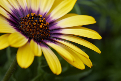 19059期体育彩票开奖结果查询与最新号码公布 19059期体育彩票开奖结果查询与最新号码公布