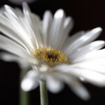 19084期开奖视频全程高清直播回放 ds3l8a2e5