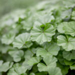 19060期足彩开奖结果揭晓:大奖花落谁家引关注 iqh4056u