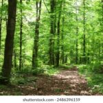 3D开奖2025348期最新结果与中奖号码公布 ni29ij