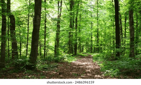 3D开奖2025348期最新结果与中奖号码公布 3D开奖2025348期最新结果与中奖号码公布