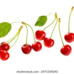 19105期足彩开奖结果揭晓,大奖花落谁家? ugf8pvyu